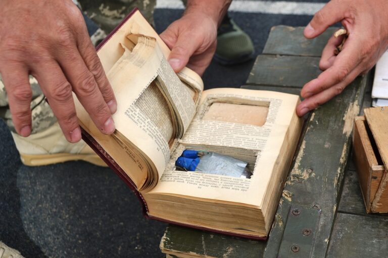 Leveraging Community Resources for Enriched Learning Experiences