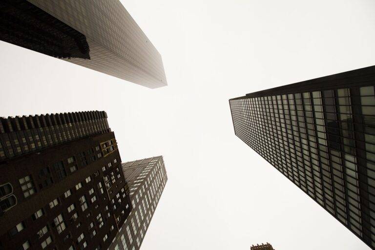 Exploring the Role of Business Accelerators