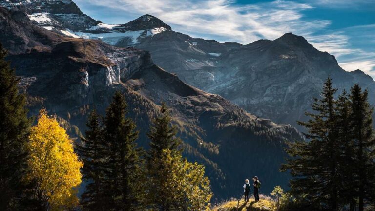 How To Recover 11Xplay Reddy Login Password?